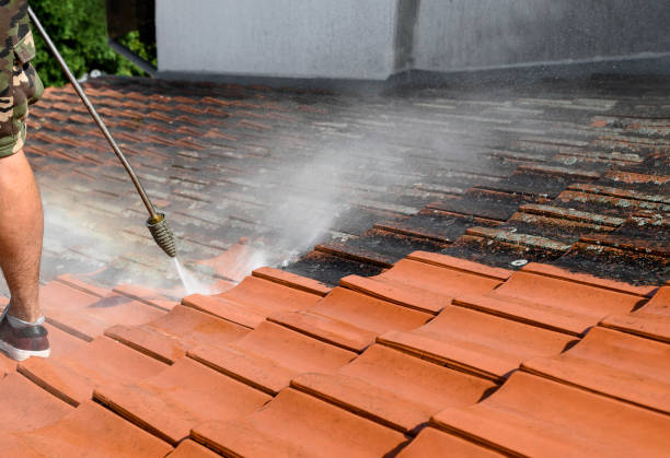 Best Local Pressure Washing Services  in Bainbridge, OH